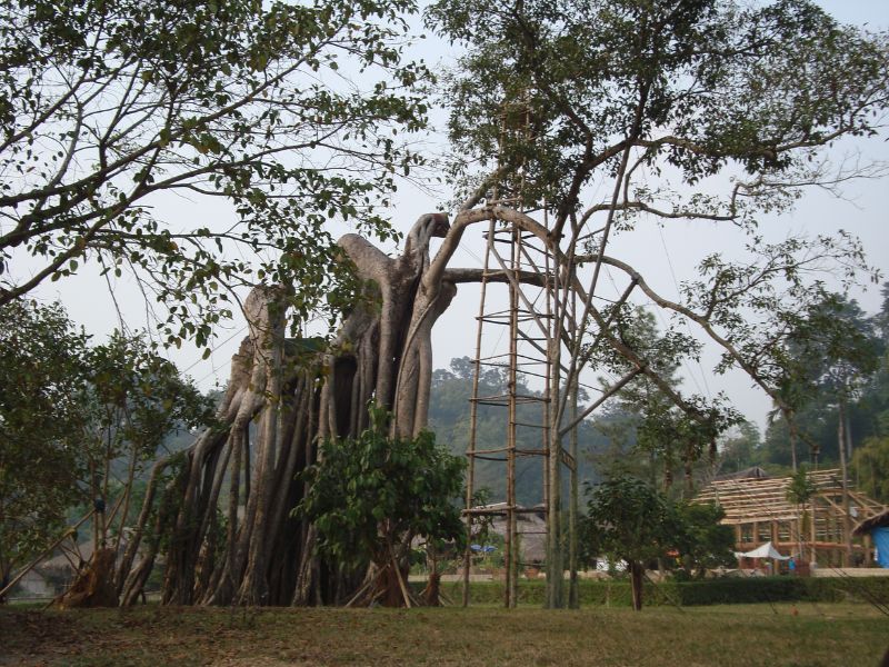 Khu Di Tích Lịch Sử Tân Trào