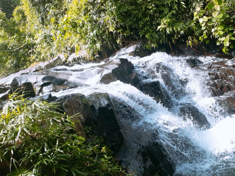 Suối Tiên